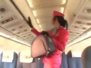 Charmant stewardess zuigen penis voor cunnilingus