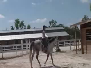 Fågelunge från thailand ridning en häst