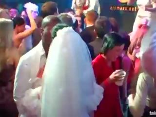 Magnificent oversexed brides suck big cocks in public