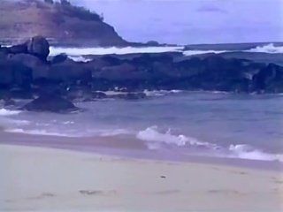 Ginger Lynn, Ron Jeremy - Surf, sand & sex video - A little bit of hanky panky